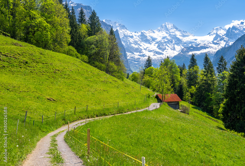 path on spring meadow in Alps in Wengen village in Switzerland