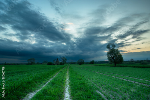 Dirt road through green fields and a front with dark clouds