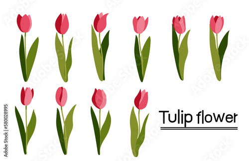 Set of pink tulips background.Eps 10 vector #580028995