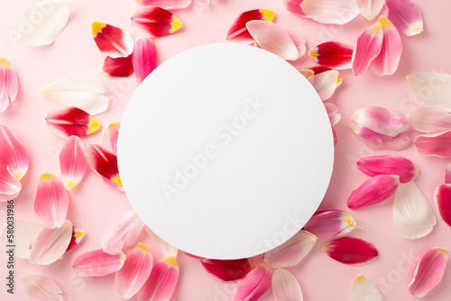 Mother's Day concept. Top view photo of white circle and pink tulip petals on isolated pastel pink background with empty space