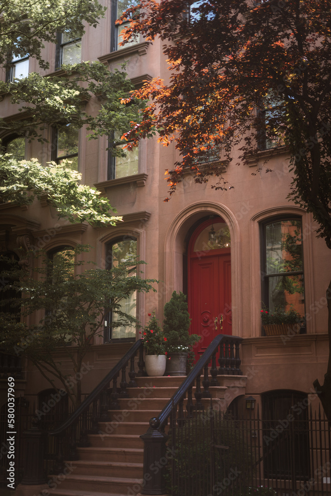 Obraz premium brownstone entry