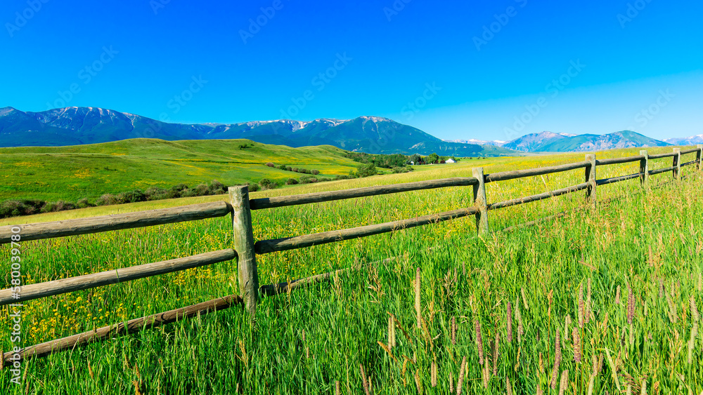 summer mountain landscape with fence