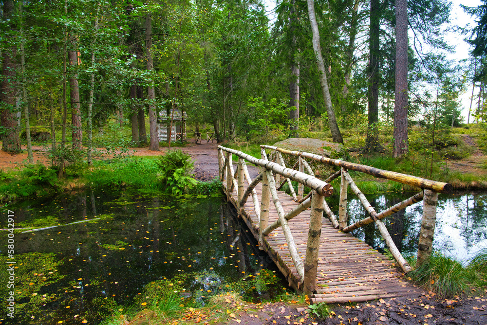 Birch small bridge in the forest, Park Mon Repos, Vyborg, Russia