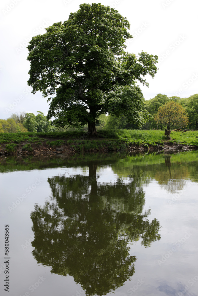 Right banks of the river Don - Dyce - Aberdeen city - Scotland - UK Right banks of the river Don - Dyce - Aberdeen city - Scotland - UK