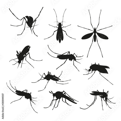Mosquito black silhouette set flying insect disease infection carrier monochrome vector © Vikivector