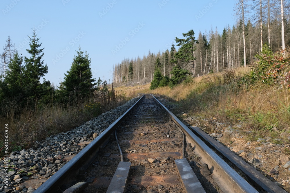 Fototapeta premium Old railtrack through forest