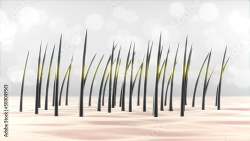 3D Animation Serum Repair Anti White Hair Shampoo Treatment .