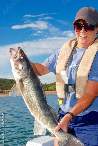 A female angler with a trophy walleye  photo