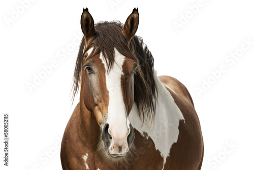 Horse isolated on white  transparent background  PNG  generative ai