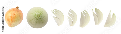 Set of onion and sliced onion isolated on white, transparent background, png photo