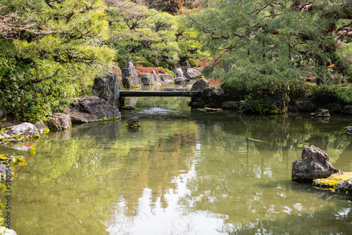 日本の春、梅と椿