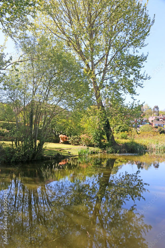 Reflections in the Great Western Canal at Tiverton , Devon Reflections in the Great Western Canal at Tiverton , Devon