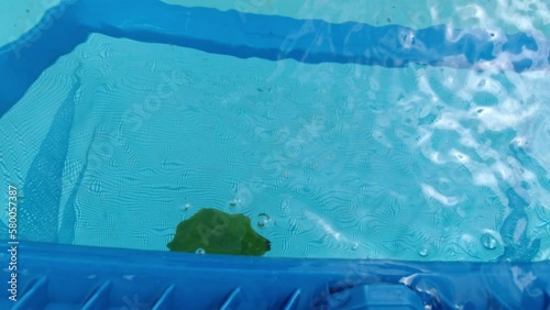 The skimmer net captures fallen leaves and debris from the pool. Pool maintenance process. Underwater POV shooting of the pool. Cleaning the pool with a skimmer net