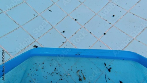 Underwater POV shooting of the pool. Cleaning the pool with a skimmer net. Pool maintenance process. The skimmer net captures fallen leaves and debris from the pool