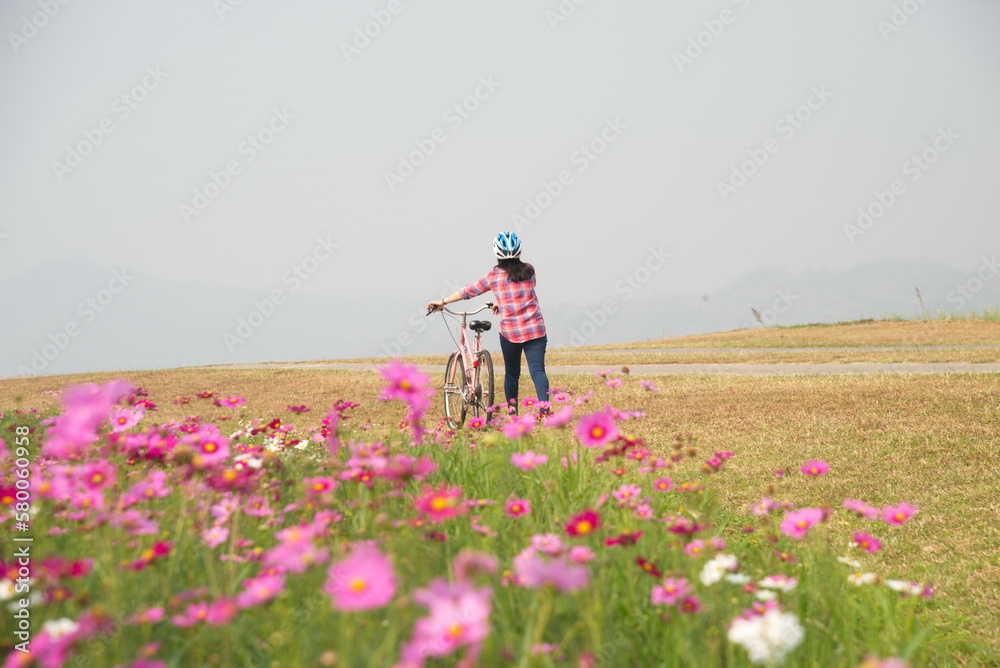 A female tourist in pinkishplaid shirt wearing blue helmet leads pink bike through field of pink cosmos flowers in full bloom as the sun shines brightly. Concept of relaxing or exercising on vacation. A female tourist in pinkishplaid shirt wearing blue helmet leads pink bike through field of pink cosmos flowers in full bloom as the sun shines brightly. Concept of relaxing or exercising on vacation.