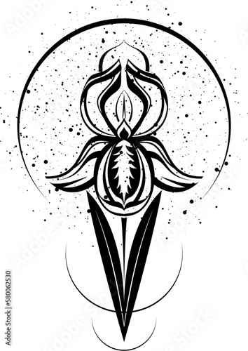 Vector illustration of iris for tattoo, graphic drawing.