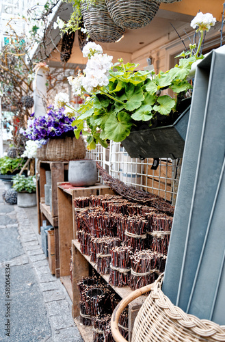 Flowers for sale - Flower market photo