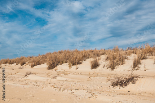 The sand dunes along the beach at 