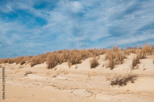 The sand dunes along the beach at "The Point" in Cape Henlopen State Park in Lewes, Delaware. 