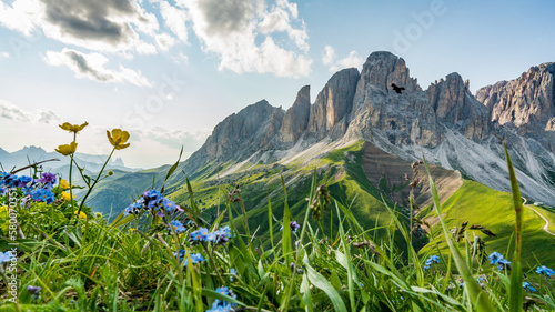 Summer landscape of  italian mountains (Dolomites), vivid scenery with alpine meadow and dynamic clouds