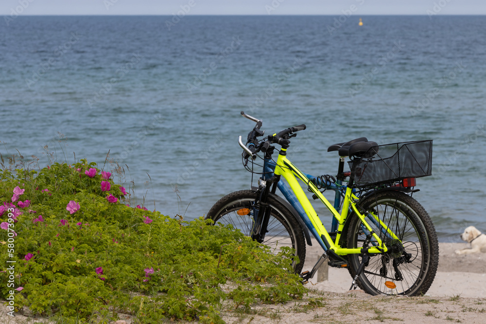 Fahrräder am Ostsee Strand, Aktivurlaub, E-Bikes
