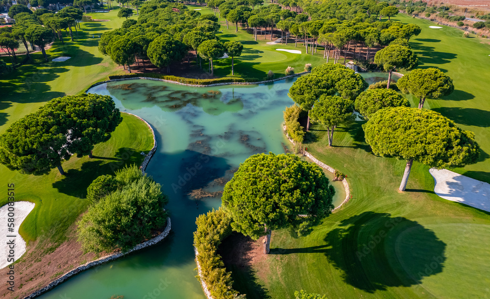Luxury sport golf field, green grass and trees course , Aerial top view