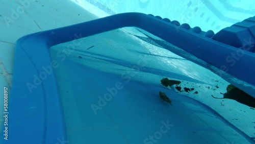 Cleaning the pool with a skimmer net. Pool maintenance process. The skimmer net captures fallen leaves and debris from the pool. Underwater POV shooting of the pool