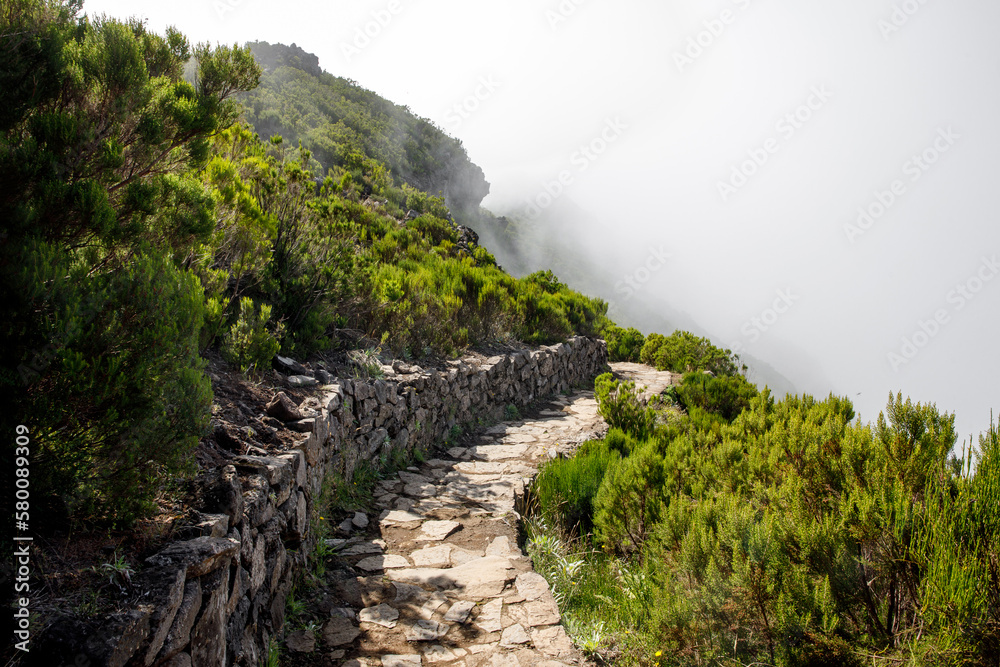 Tourist path through the green mountain plants and cloudy fog, the road to the peak of Madeira island, Portugal Tourist path through the green mountain plants and cloudy fog, the road to the peak of Madeira island, Portugal