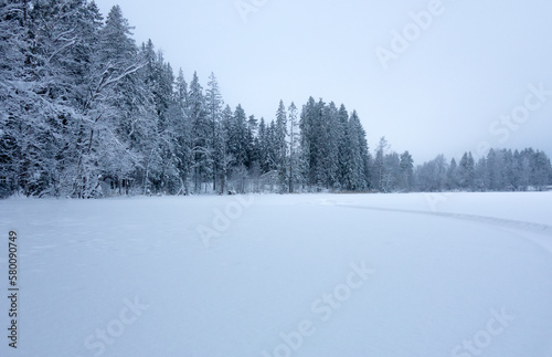 Frozen lake in the forest.House on the shore of the lake of the Karelian isthmus. Snow-covered white ice of the reservoir. Winter fishing. © Svetliy