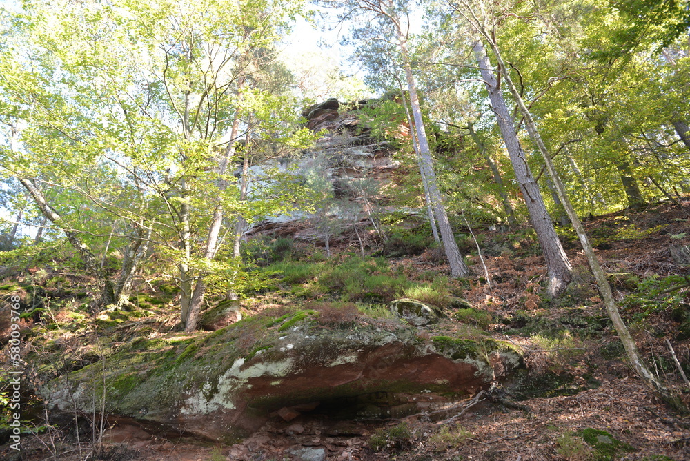 Fototapeta premium Rumbach_63 