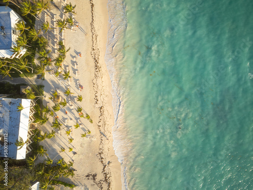 Top view of palm trees on the seashore. Sandy beach, clear turquoise sea. Sunny day. There are no people in the photo. There is free space to insert. Resort, vacation, travel, tourism.