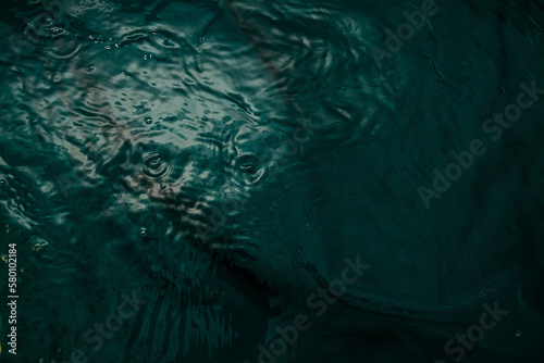 A dark green fabric with folds lies underwater with waves and splashes. Image for your creative design or stylish illustrations.