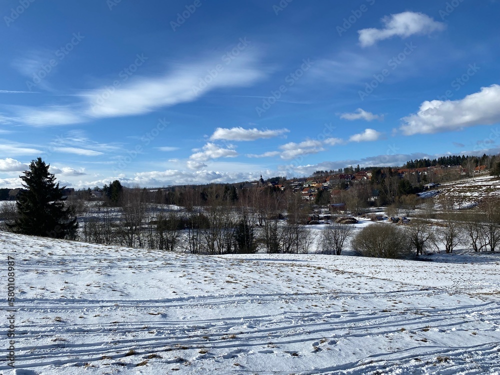 Winter in Benneckenstein