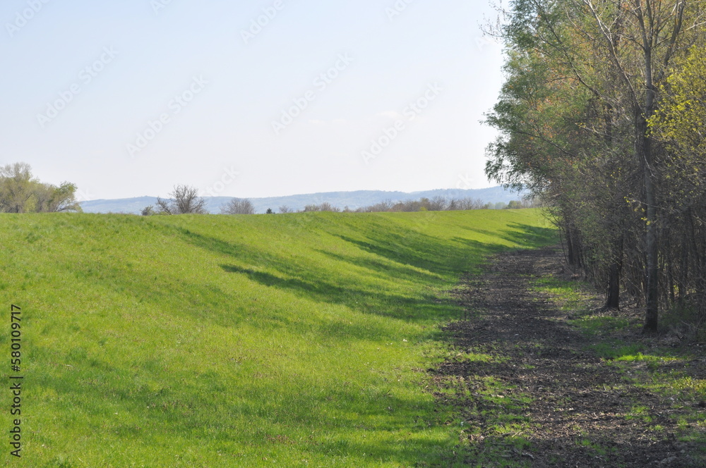 landscape landscape