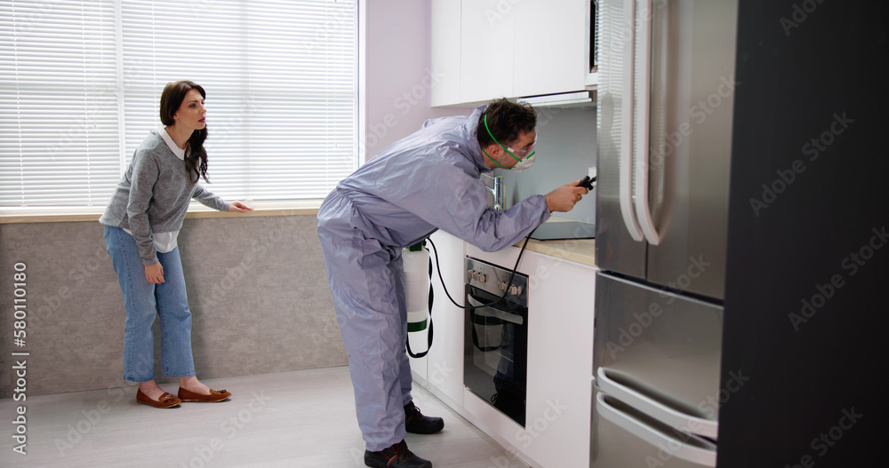 Exterminator Worker Spraying Insecticide Chemical Exterminator Worker Spraying Insecticide Chemical