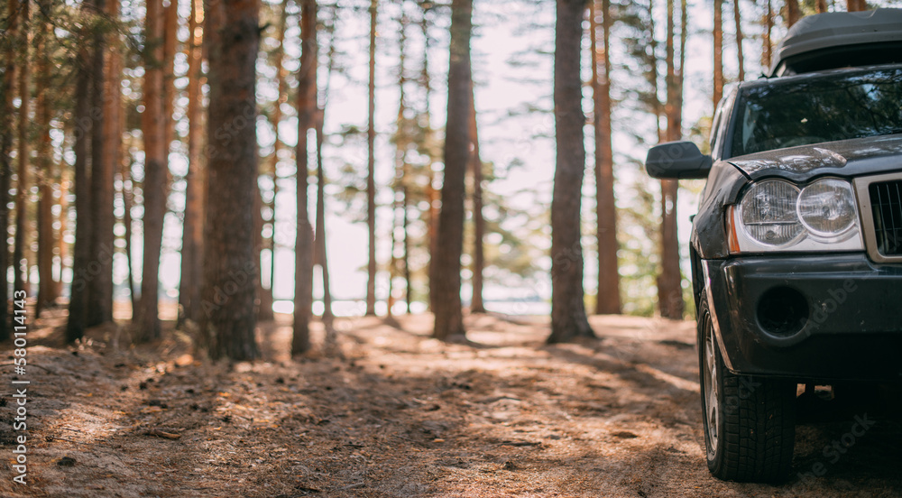 A car with an upper tourist trunk stands in a pine forest on the shore of a lake at sunset. SUV among the trees on a forest road A car with an upper tourist trunk stands in a pine forest on the shore of a lake at sunset. SUV among the trees on a forest road