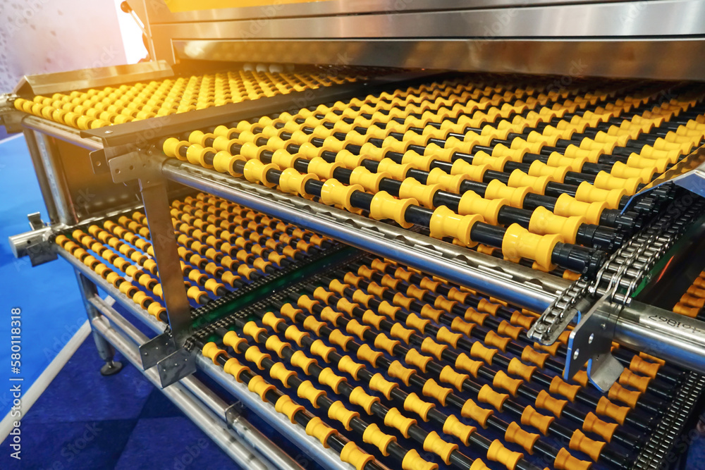 Conveyor belt of machines for conveying chicken eggs in a modern egg