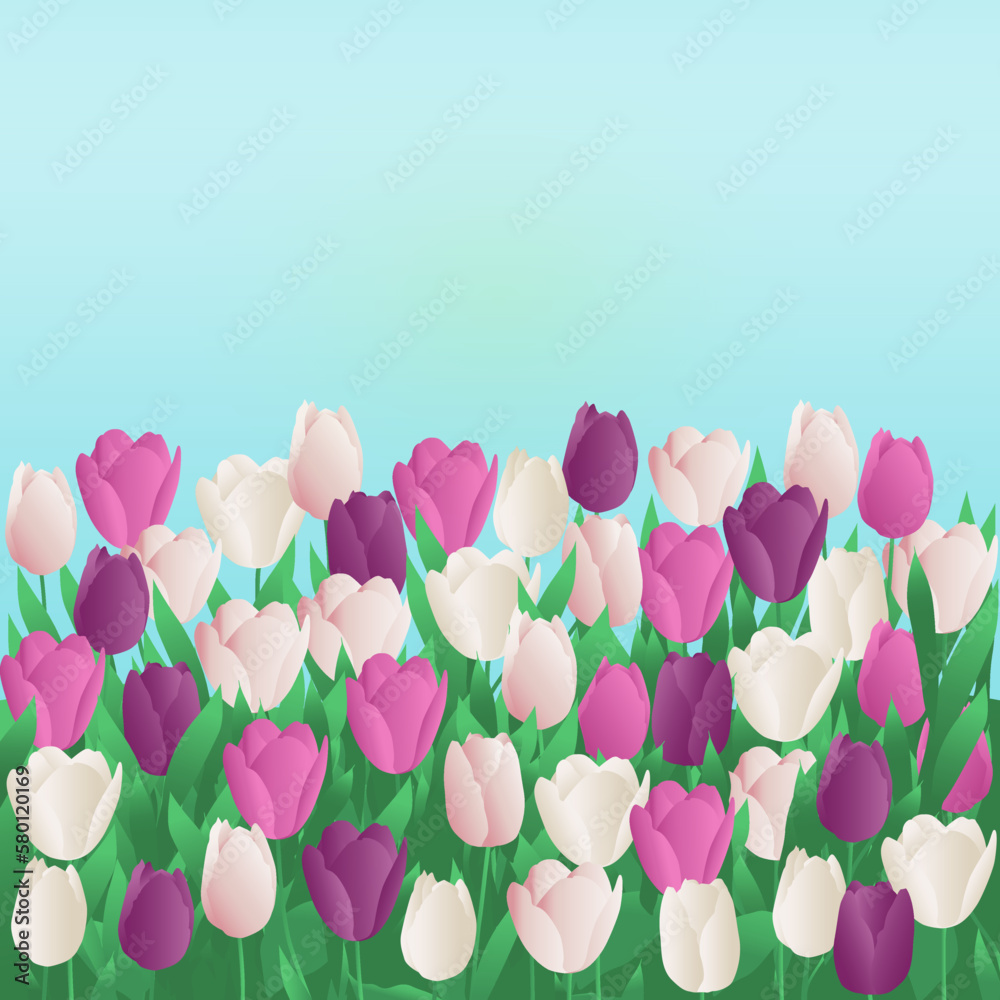 tulips on blue sky tulips on blue sky
