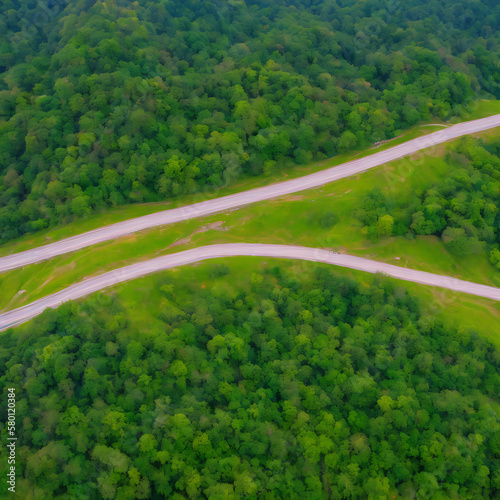2 roads in the forest [IA Generativa]