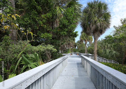 Walkway at Anne Kolb Nature Center.  Anne Kolb is a 1,501-acre, free coastal mangrove wetland park in Hollywood, Florida, USA. 