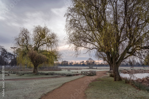 Walk between the ponds at dawn in Bushy Park