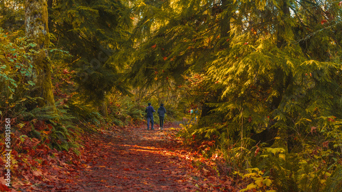 Enjoying an Autumn walk on a BC urban forest trail near Simon Fraser University.