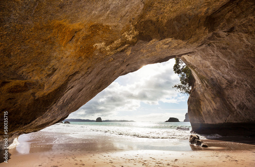 New Zealand coast © Galyna Andrushko