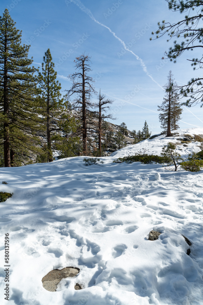 Shot of the snow and trees on the Upper Yosemite Trail in California Shot of the snow and trees on the Upper Yosemite Trail in California