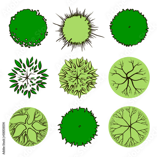 Simple trees, top view