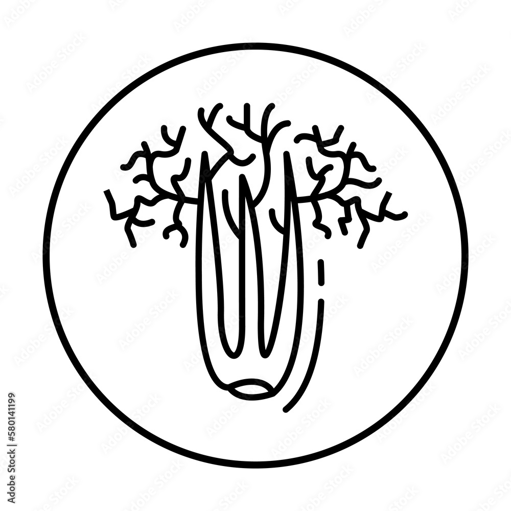 Celery, vegan icon. Simple line, outline elements of vegetarian icons for ui and ux, website or mobile application on white background Celery, vegan icon. Simple line, outline elements of vegetarian icons for ui and ux, website or mobile application on white background