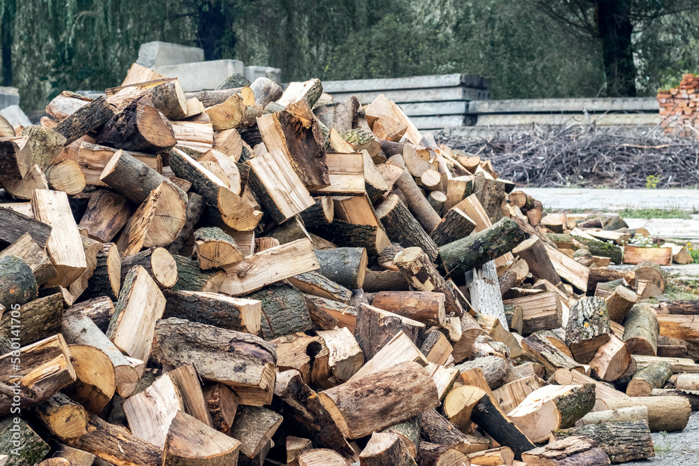Firewood in the yard of the farm Firewood in the yard of the farm