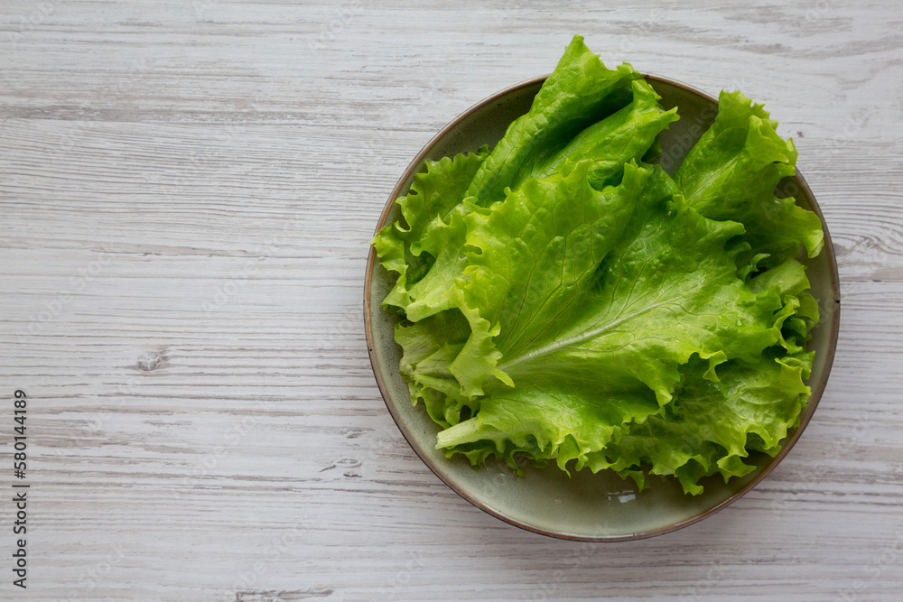 Raw Green Leaf Lettuce on a Plate, top view. Space for text. Raw Green Leaf Lettuce on a Plate, top view. Space for text.