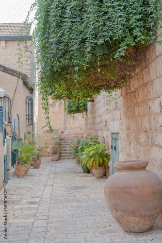 Fototapeta Naklejka Na Ścianę i Meble -  Potted plants on the streets near old house in Yemin Moshe district, Jerusalem, Israel