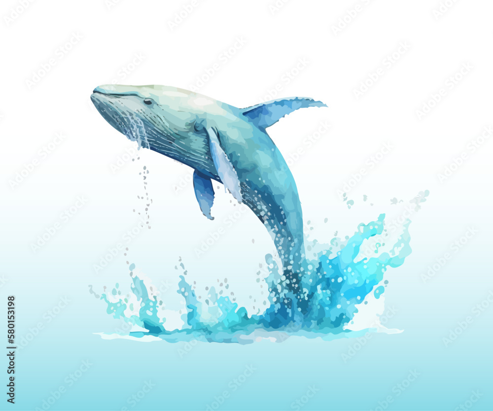 Blue whale jumps out of the water